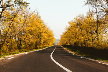 Beautiful road in the beautiful trees. A country road in the fall. Autumn in the park. Empty race track.