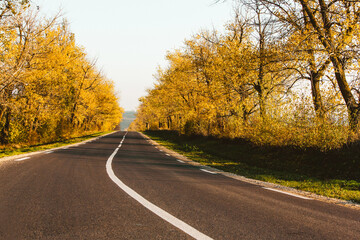 Beautiful road in the beautiful trees. A country road in the fall. Autumn in the park. Empty race track.