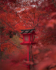 Red lantern in Japanese shrine in autumn