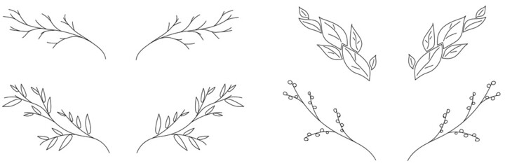 Set of tree branches for logo or web design floral elements illustration. Hand drawn vector line botanical collection of illustration.