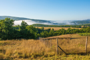 Morning mist rising over the late summer landscape near Murlo, Siena Province, Tuscany, Italy
