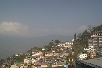 SONY DSC