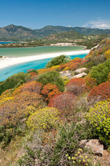 crystal clear water and white sand at Porto Giunco beach in Villasimius