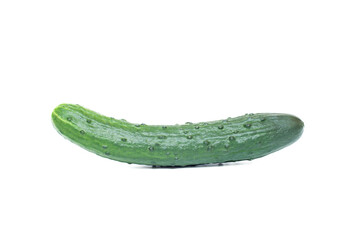 One cucumber on a white background