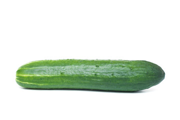 One cucumber on a white background