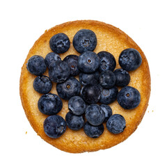 Top view of golden toasted round rusk toast aka beschuit with blueberries on top. Isolated on white background.