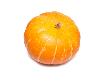 Pumpkin on white background. Fresh and ripe