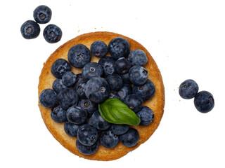 Top view of golden toasted round rusk toast aka beschuit with blueberries on top and on the side. Isolated on white background.