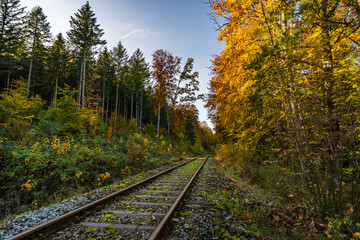 Fototapeta premium Wonderful autumn hike near Koenigseggwald in Upper Swabia