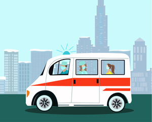 An ambulance takes a patient around the city