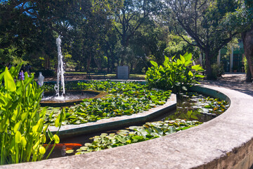 Obraz premium cactus and exotic plants in Botanical garden in Cagliari