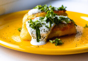 Potato patties (zrazy) stuffed with onion and mushrooms, served with greenery (cilantro), spices and cream sauce. 
