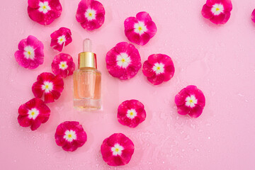 glass bottle of cosmetics serum with pipette, facial essence on a floral pink background with water drops. organic product with herbal extract, flower oil, the concept of self-care at home