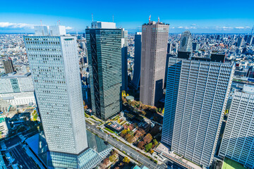 Office buildings in Shinjuku as seen from the Tokyo Metropolitan Government Observatory