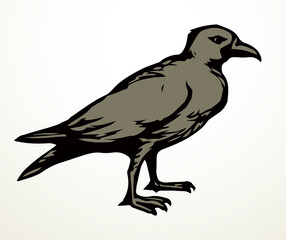 Big bird. Vector drawing icon sign