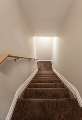 carpeted stairs leading to a lower level