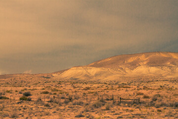 Naklejka premium landscape in the desert
