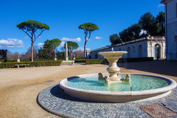 Awe Italian Pines- Pinias in Park of Villa Medici and medieval fountain