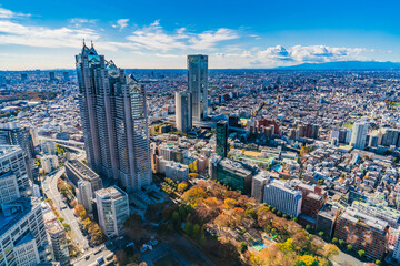 東京都庁の展望台から見た東京の風景 ~ The view of Tokyo from the Tokyo Metropolitan Government Observatory ~