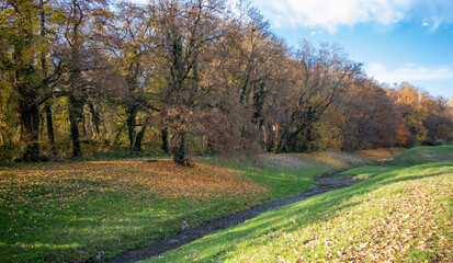 Small pond beside a forest in autumn with falling leaves