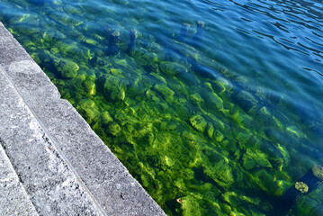Grünes Wasser an der Ufermauer des Traunsees bei Gmunden