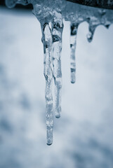 Naklejka na ściany i meble beautiful shiny transparent icicles Concept of winter season Wintertime mood