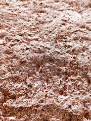 Beautiful Abstract Grunge Decorative Wall Background