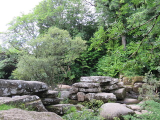Fototapeta na wymiar Stepping stones on the river dart on dartmoor