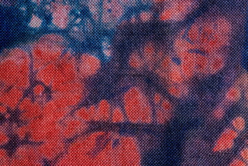 Red and Blue Fabric