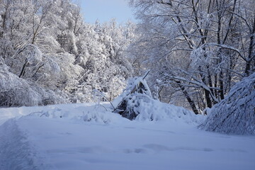 tree branches are covered with snow like drifts in Kuskovo park in Moscow