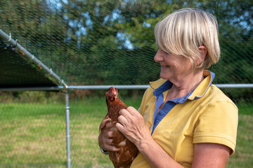 Mature woman carrying a pet chicken outdoors in summer 