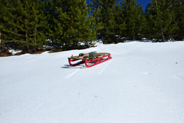 Beautiful Day for a Sleigh Ride