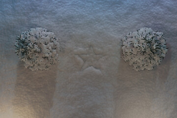3d rendering of star snow mark next to snow covered fir trees