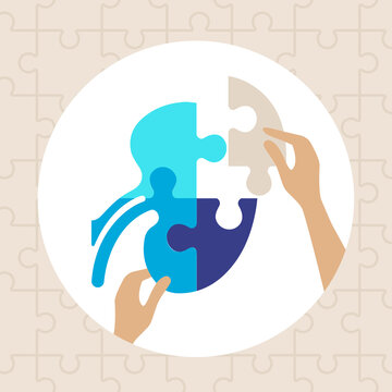 recommend clip art: Human kidney puzzle pieces concept, assembled with hands, vector illustration