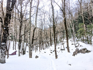 Snow landscape in winter (Spain)