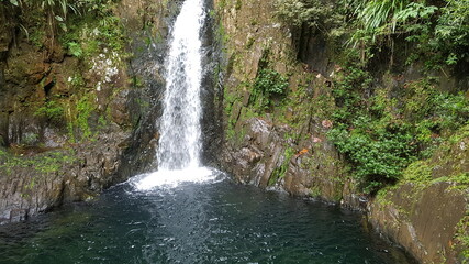 Fototapeta premium waterfall in the forest
