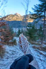 Mount Wendelstein in the background of a frosty scene