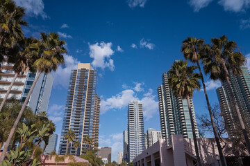 Modern towers, tall palm trees with cloudy sky in downtown San Diego California. - obrazy, fototapety, plakaty
