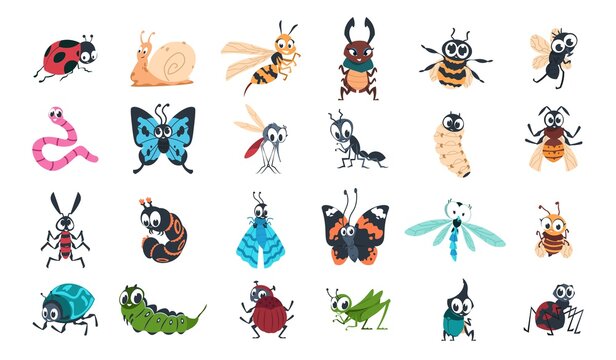 Cartoon funny insects. Colorful cute bugs characters set with smiling faces, snail, spider and caterpillar, little ant, butterfly and comic dragonfly, bumblebee and mosquito vector isolated collection