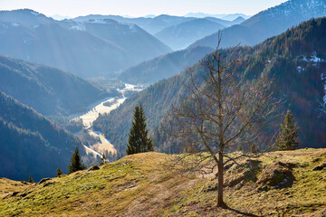 Scenic Valley in the alps