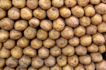 Close-up, potatoes standing in a row on the counter in the marketplace