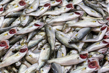Fototapeta premium close up fresh fish background