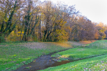 Forest with falling leaves in autumn near a pond
