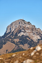 frosty leaf in front of a blurry person