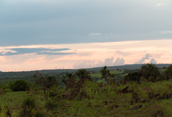 CONTEMPLAÇÃO PÔR-DO-SOL CÉU LARANJA VERDE LUZ SOLAR ÁRVORE