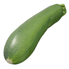 Zucchini 3d illustration isolated on the white background
