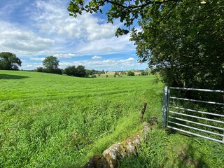 Obraz premium Landscape, with lush meadows, buildings and trees, in the far distance in, Bracewell, Barnoldswick UK