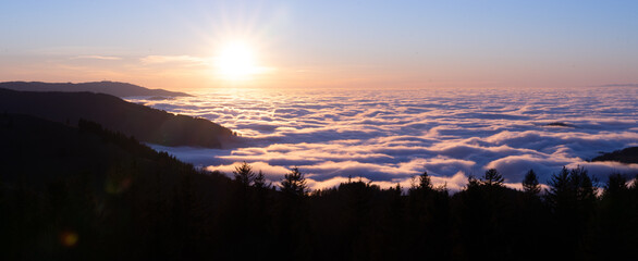 Sonnenuntergang über einer Wolkendecke im Schwarzwald