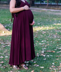 Indian Pregnant woman in dress holds hands on belly in garden. Pregnancy, maternity, preparation and expectation concept. Beautiful tender mood photo of pregnancy.
