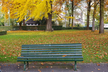 Feuillages d'automne &agrave; Lausanne